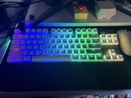 Steelseries Apex Pro TKL Keyboard 鍵盤