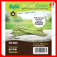 Baba Smart Grow Seed: VE-063 F1 Asparagus 高产芦笋 Asparagus Biji Benih