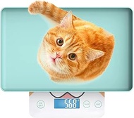 Digital Mini Pet Scale for New Babies and Small Animals, Precision Grammar Scale to Monitor Newborn 