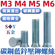 Press Rivet Screw FH-M3M4M5M6 Carbon Steel Press Rivet Screw Pressure Plate Screw Pressure Plate Scr