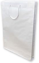 Ejime Paper Craft SJP-A3 Award Frame Paper Bags, A3 Size, Pack of 10, W 15.4 x H 20.1 x D 1.8 inches