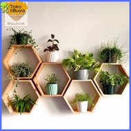 Hexagonal Shelf/Wall Shelf/Shelf Shelf/Wall Decoration