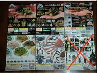 新淨 龜 蜥蜴 蟹 原色海水魚 人體解剖圖鑑 扭蛋 機頭紙