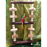 Log String Double-Layer Big Swing// Suitable For Small Medium-Sized Bird Baby Play