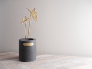 【植系列】諾比觀音蓮 黃銅小盆栽 x 擴香 Alocasia nobilis