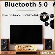 [PerfkMY] Digital Amplifier Board Universal Home Theater Sound System 10M Connection D900