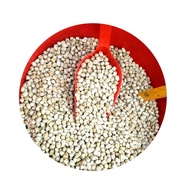 White Chickpeas / White Chana 1Kg