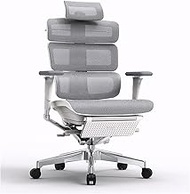 Ergonomic Office Chair Luxury Boss Chair Breathable Mesh Executive Chairs with 3D Armrests and Lumbar Support, Sedentary Comfort Computer Desk Chair for Work Home */1616 (Color : Grey, Size : Yes)