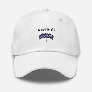 Formula One, Formula 1 Hat, Formula 1 Merch, Max Verstappen, F1 Redbull, F1 Gifts Redbull, Formula 1