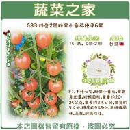 台灣F1 粉果小蕃茄種子