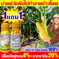 🌽อัตรากำจัดวัชพืช100%🌽ยาฆ่าหญ้าข้าวโพด100ML1แถม1เข้มข้นสุด ยาชุดข้าวโพด นิโคซัลฟูรอน4%+อาทราซีน20% ฆ่าหญ้าข้าวโพดฆ่าแค่วัชพืช ไม่ทำลายข้าวโพด นาข้าวโพด100 ปีไม่มีวัชพืช ยาฆ่าหญ้าในข้าวโพด ยาฉีดหญ้าข้าวโพด ยาฆ่าหญ้าไร่ข้าวโพด