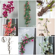 Climbing rose vines, fake tree stumps, fake tree trunks, antique vines, ancient twisted vines, VIP w