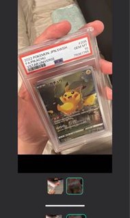 盒小損 日版 PTCG Pokemon 2023 Pikachu S12a 205/172AR 荷葉皮