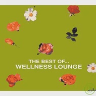 V.A. / The Best of…Wellness Lounge (2CD)