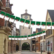 (5 m/20 pieces)Algeria Flag String Banner Algeria Country Hanging Bunting Flag Banners
