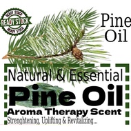 Pine Essential Oil/Pinus sylvestris: Essential Therapeutic Fragrance/ Scotch Pine Oil