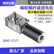 5840-31ZY Turbo Snail DC Gear Motor with Self-Locking Billboard Curtain Machine Claw Machine Cooking