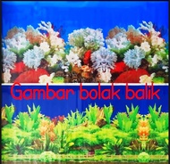 Wallpaper aquarium Tinggi 60cm x Panjang 100cm BACKGROUND AQUARIUM LATAR BELAKANG STIKER