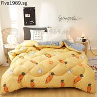 Fashion Winter Warm Microfiber Comforter Quilt Queen/King Size