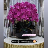 Rangkaian Bunga Anggrek Latex Super Premium