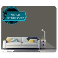 NIPPON Exterior paint Q-Shield 5 Liter - N1919D TURNED EARTH