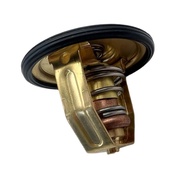 SWEETBB丨60℃ Thermostat For  AQ115 AQ130 MD2 MD3 MD11 876097 876080 875781