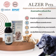 Alzer pets วิตามินอาหารเสริมระบบปราสาทและสมองสำหรับสุนัขและแมว