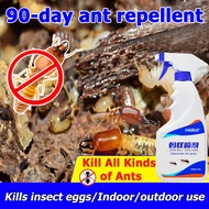 Ant Repellent Ant Killer Spray Ant spray for gardens, homes, and indoors/Termite killer Termite 蚂蚁喷雾
