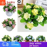 [Free Shipping]LUOLRV Simulation Flower Potted, Ornament White Flowerpot Begonia Artificial Flower B