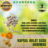 Ayurveda Kapsul 100% Kulat Susu Harimau 1biji ORIGINAL*labtest approved*