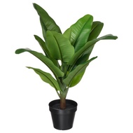 FEJKA Artificial potted plant, in/outdoor Banana tree Pokok Hiasan