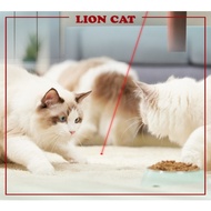 Laser Light Cat Collar Cat Toy Cat Play Laser Toy Pet Toy Laser Teaser