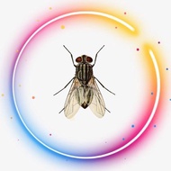 SPRAY LALAT - CAMAY REPELLENT