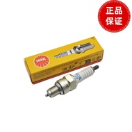Suitable for HJ100T-7C-7D-7M-7E-7F Lucky Star S Happy Star Original Authentic NGK Spark Plug