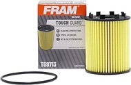 FRAM Tough Guard Replacement Oil Filter TG9713 with SureGrip, Designed for Interval Full-Flow Conven
