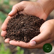 Fine Grade Peat Moss Soil By Green Sprout 5 Litres (Approx. 1kg)