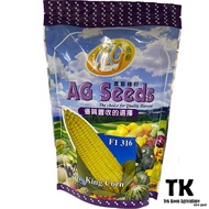 Bernih Jagung Manis 500g AG Seeds F1 316 King Corn