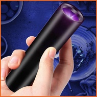 Uv Flash Light UV Light Torch Portable Small LED Torch For Furniture Clothing Dog Cat Urine Dry Stai