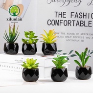 ZILUOLAN Succulent, Adenium Obesum PVC Artificial Plants, Gift Baolian Flower Aloe Plastic Plants Be