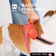 Zee.Dog | FlyHarness | Gazelle