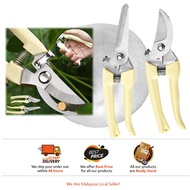 GUNTING POKOK BUNGA TAJAM GARDENING TOOLS PRUNING SHEARS SCISSORS TREE GRASS