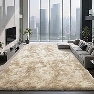 Shag Area Rugs for Bedroom Living Room,6X9 Ultra Soft Fluffy Area Rugs for Dorm, Indoor Carpet Nurse