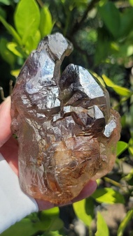 馬達加斯加茶水晶紫水晶茶紫水晶骸骨水晶涅槃水晶彎曲水晶 #421g #MGE0262