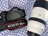 租借Canon R5 Mark II/RF 100-500mm