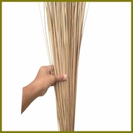 ▌ ▫ – Buri Bukod Walis  tingting other known for walis buli price per piece 45 inch