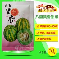 八里香飄香甜瓜種子 種籽特甜香瓜種籽糖度18度早熟高產四季香甜
