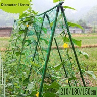 Diameter16mm-210cm/180cm/150cm Durable Climbing Plants Vine Rack Flower Gardening Tools Vegetables T