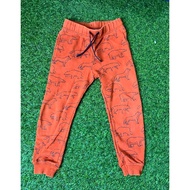 Second-Hand H&M Long Pants size 5-6y /116 cm