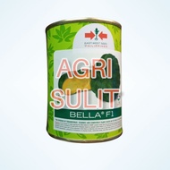 BELLA F1 HYBRID SQUASH SEEDS 425 SEEDS (EAST WEST SEEDS)