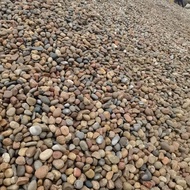 Pebble Rain Flower Stone Pebble Transformer 5-8cm Pebble Beach Paving Landscaping Pebble